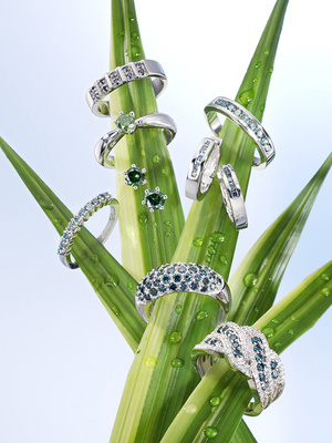 光影交織的奢華藝術 珠寶與香水靜物拍攝指南